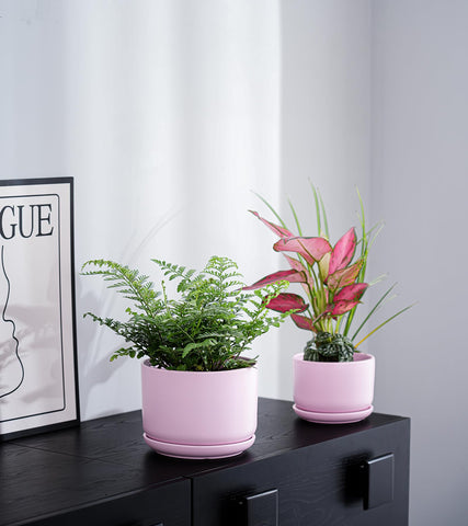Ton Sin secure packaging ensures safe delivery of the pots