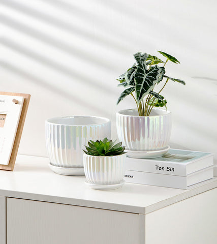 Ton Sin gift-ready packaging enhances the gifting experience