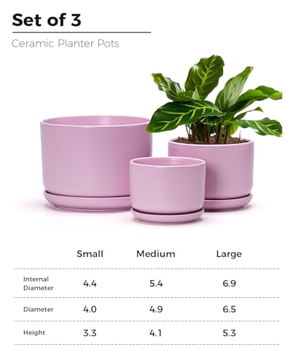 Ton Sin medium pink ceramic planter ideal for succulents and herbs