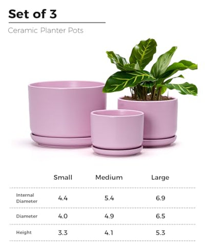 Ton Sin medium pink ceramic planter ideal for succulents and herbs