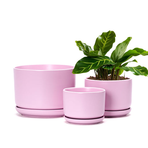 Ton Sin pink flower pots set of three ceramic planters for indoor plants