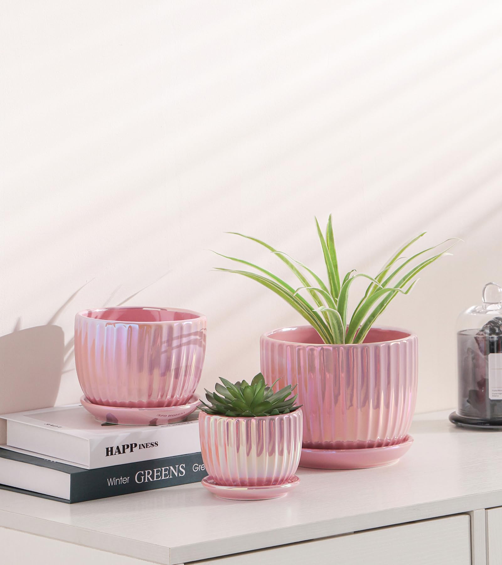 Ton Sin 4-inch pink-gold pot highlighting compact succulent display for desks and shelves