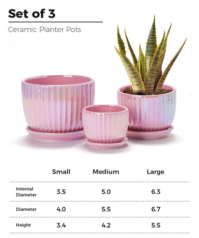 Ton Sin Pink Gold ceramic planter on display, stylish indoor decor