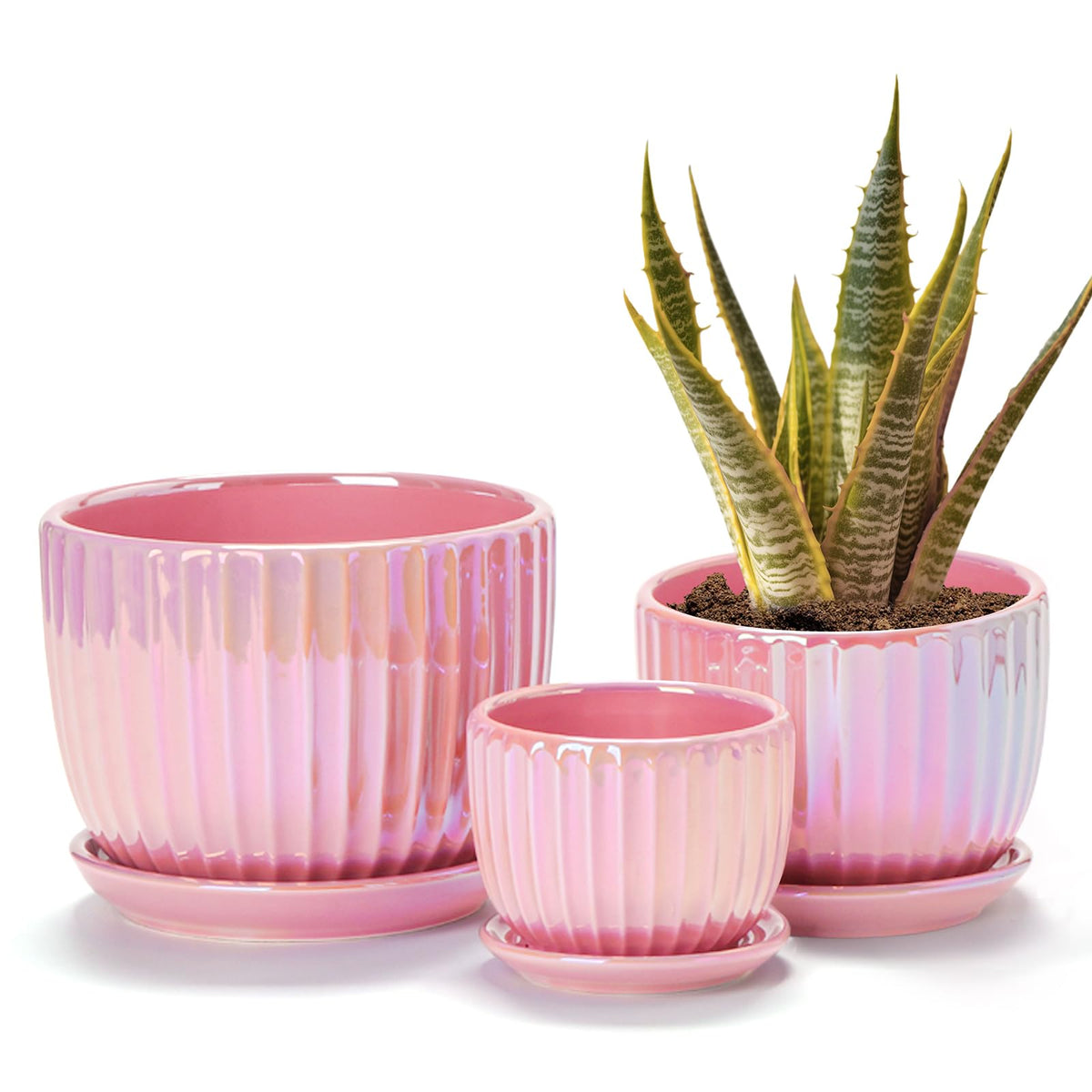 Ton Sin Pink Gold ceramic flower pot 6-inch close-up with drainage hole for healthy root growth