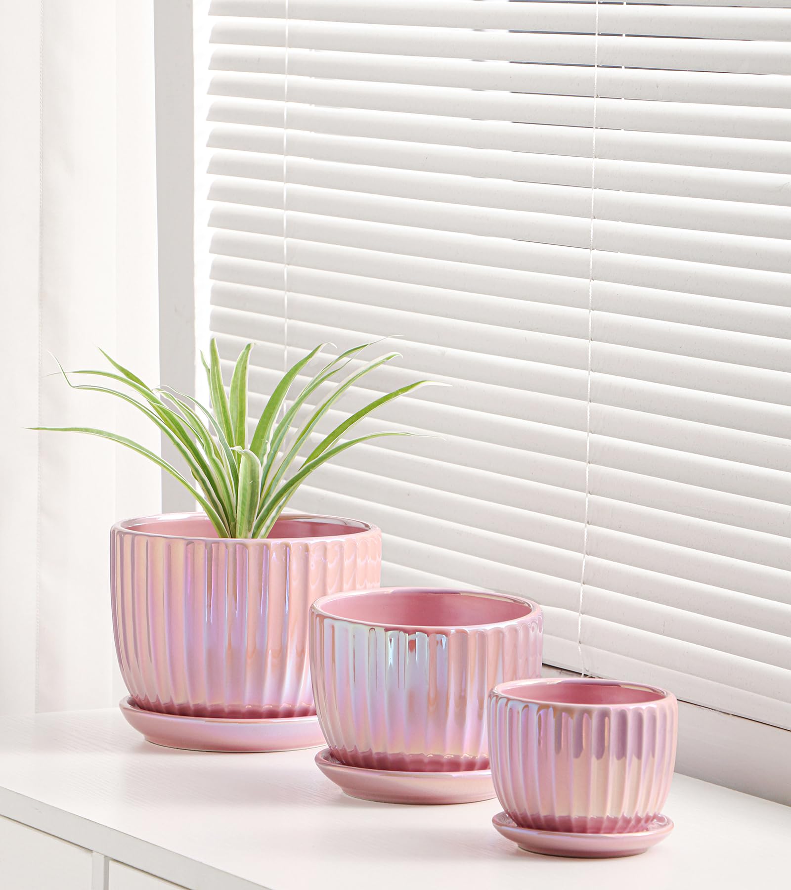 Ton Sin drainage-hole ceramic pot showcases modern design for healthy plant drainage
