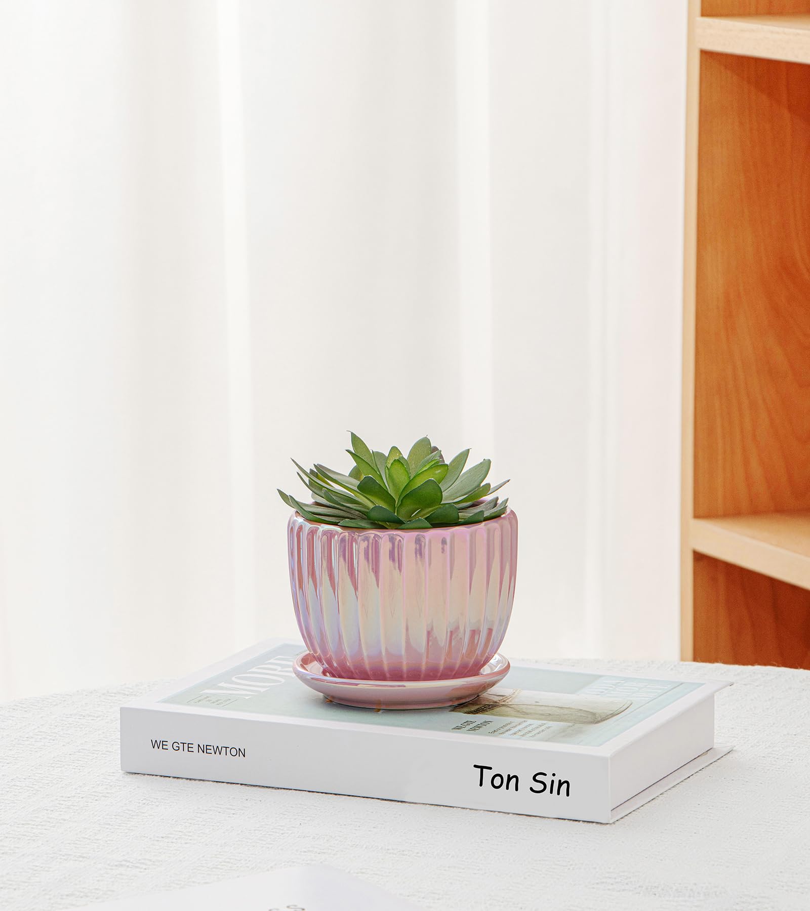 Ton Sin pink-gold planters on a windowsill create bright, contemporary plant display