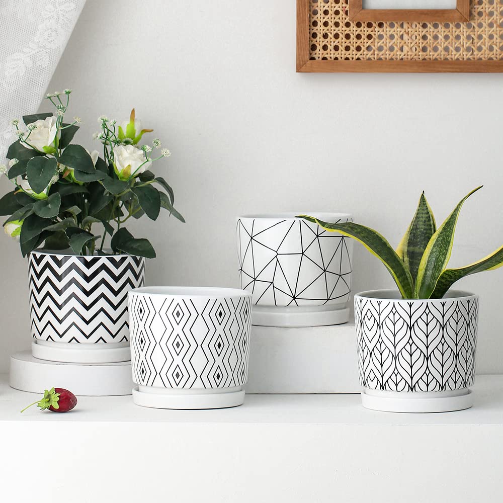 Ton Sin four-pack of white ceramic planters for versatile arrangements.