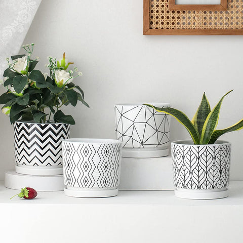 Ton Sin four-pack of white ceramic planters for versatile arrangements.