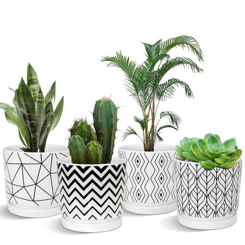 Ton Sin plant pots with drainage holes support healthy indoor watering.