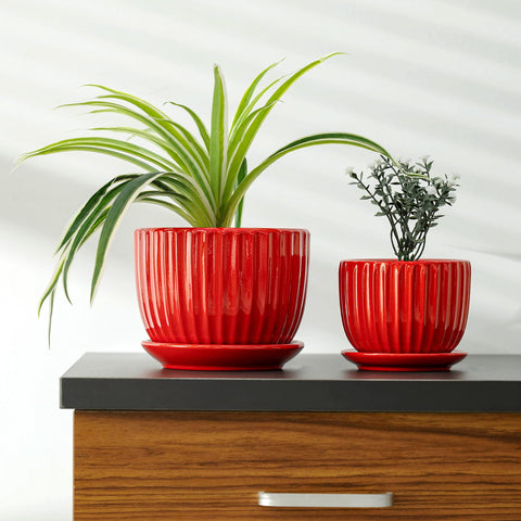 Ton Sin red ceramic pot with saucer included for stylish display