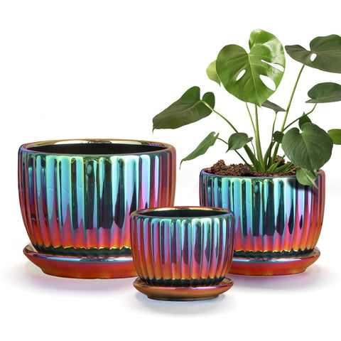 Ton Sin purple ceramic flower pot 6-inch ideal for succulents.