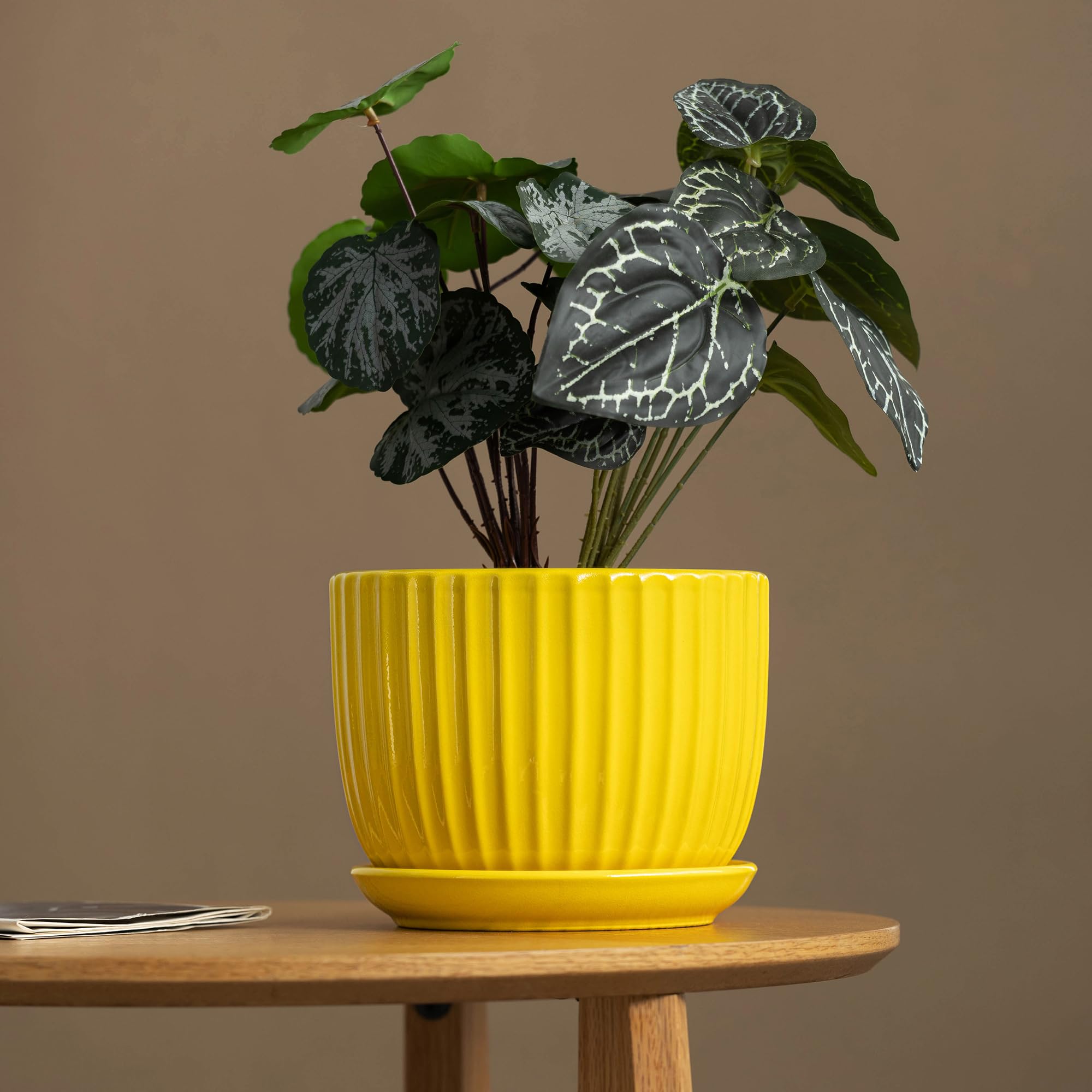 Ton Sin sunburst yellow pot 5.1-inch supports medium plants with easy watering