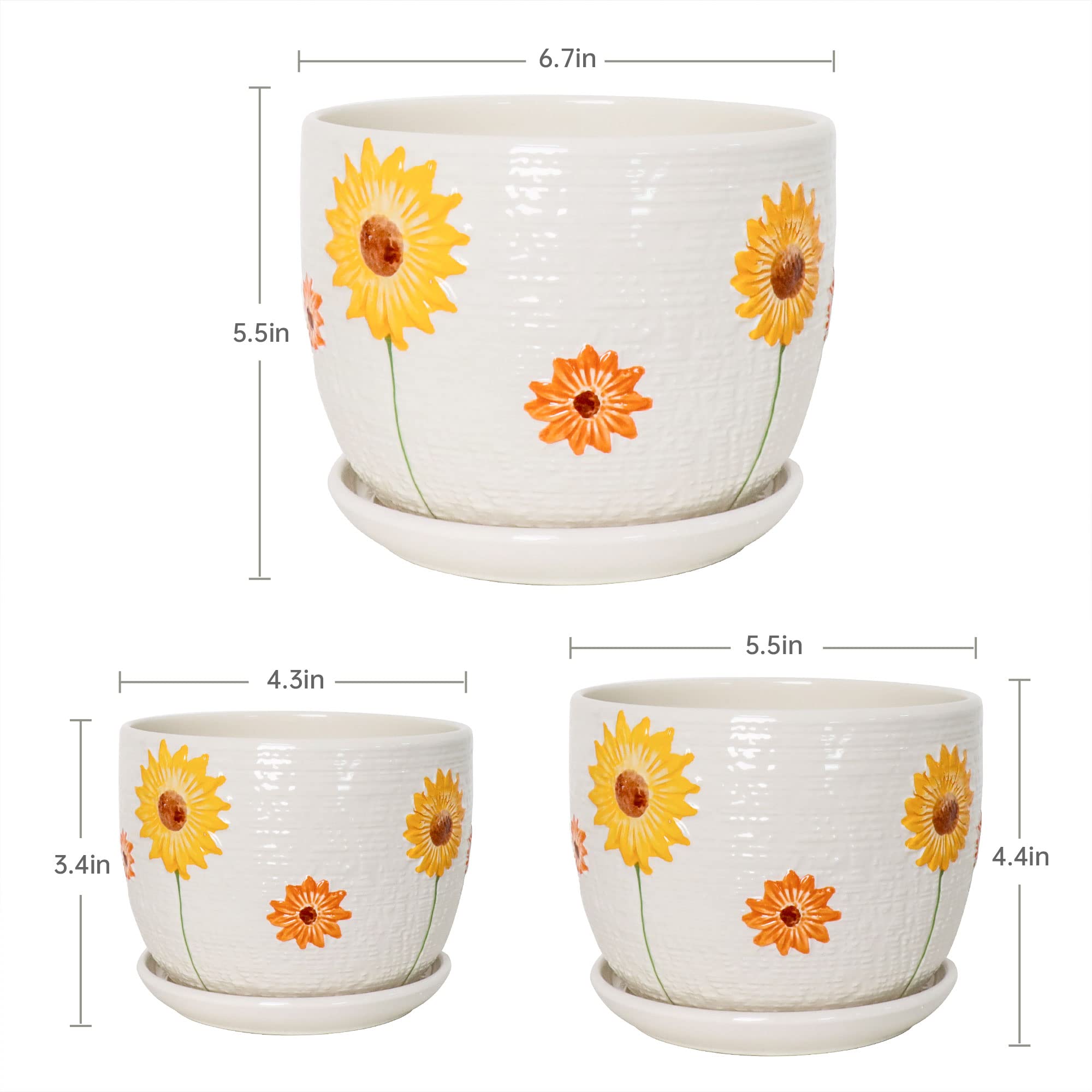 Ton Sin small sunflower pot from the side, compact size highlighted.