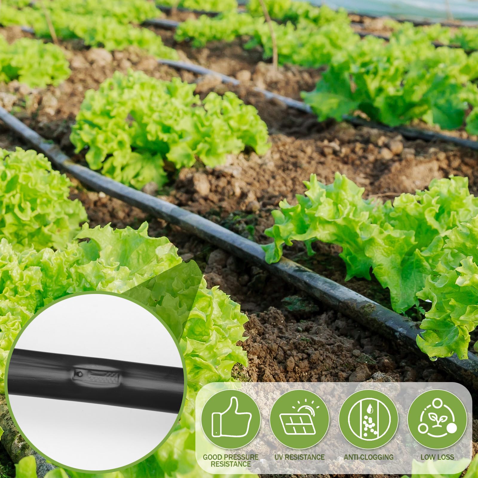 Tondiamo garden irrigation setup shown under sun