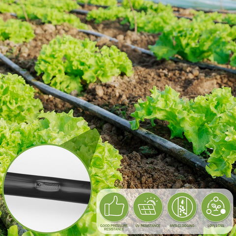 Tondiamo garden irrigation setup shown under sun