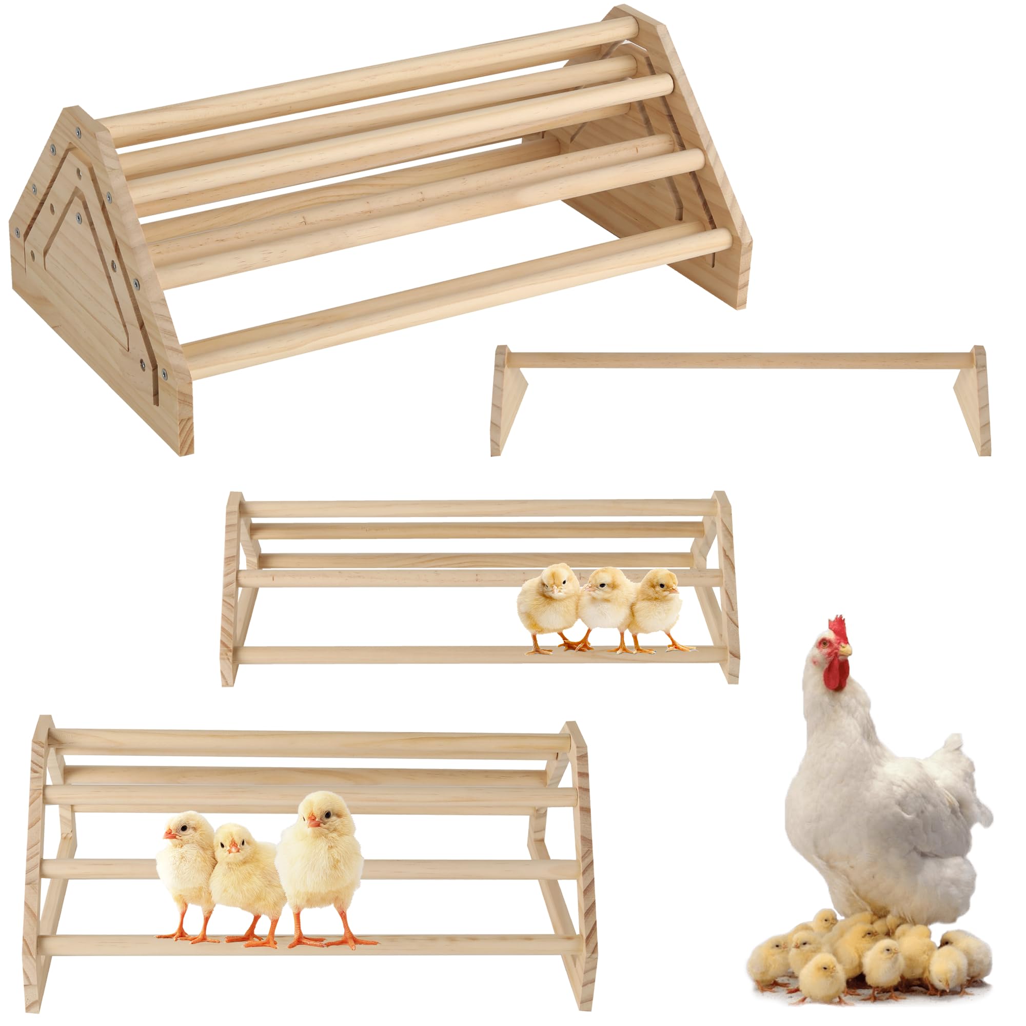 TonGass 3-pack chicken perch assembly demonstrates quick setup for busy coops.
