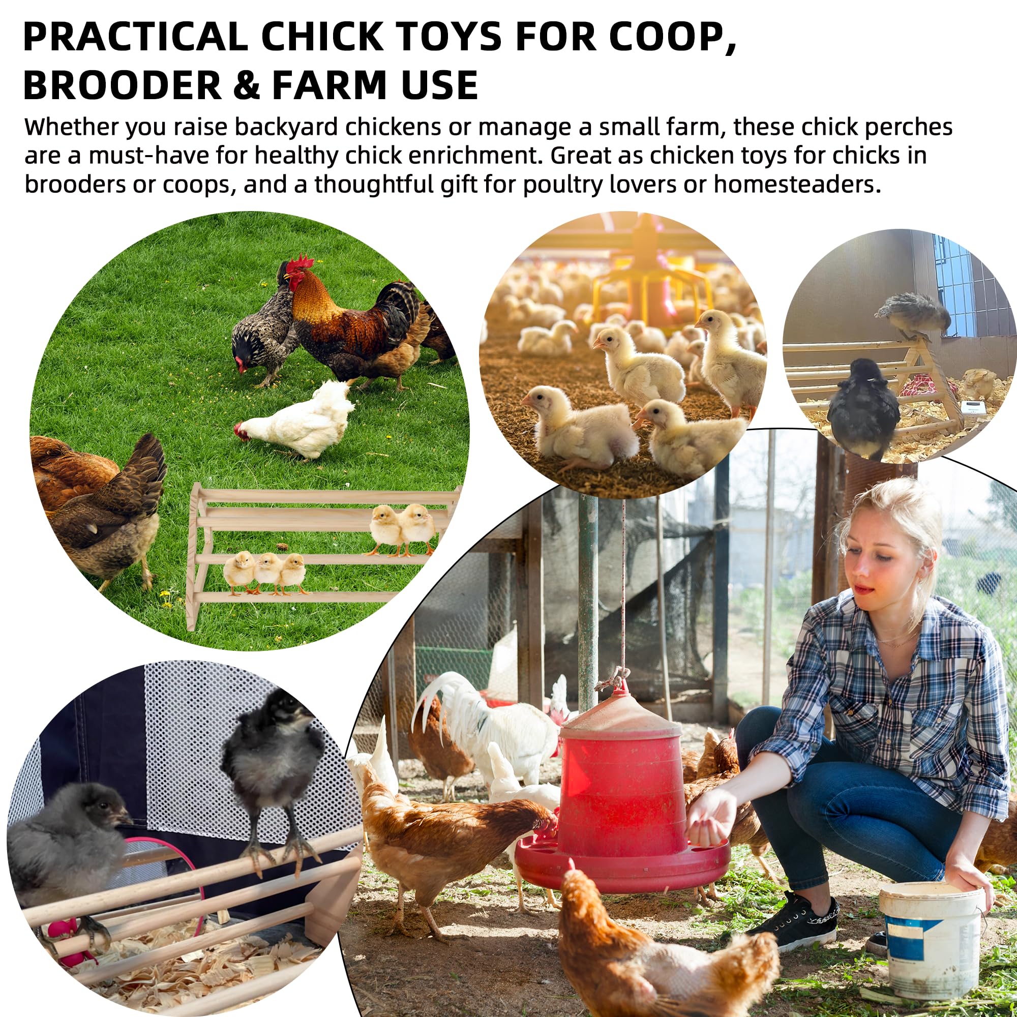 TonGass coop and brooder perches offer enrichment and exercise for growing chickens.