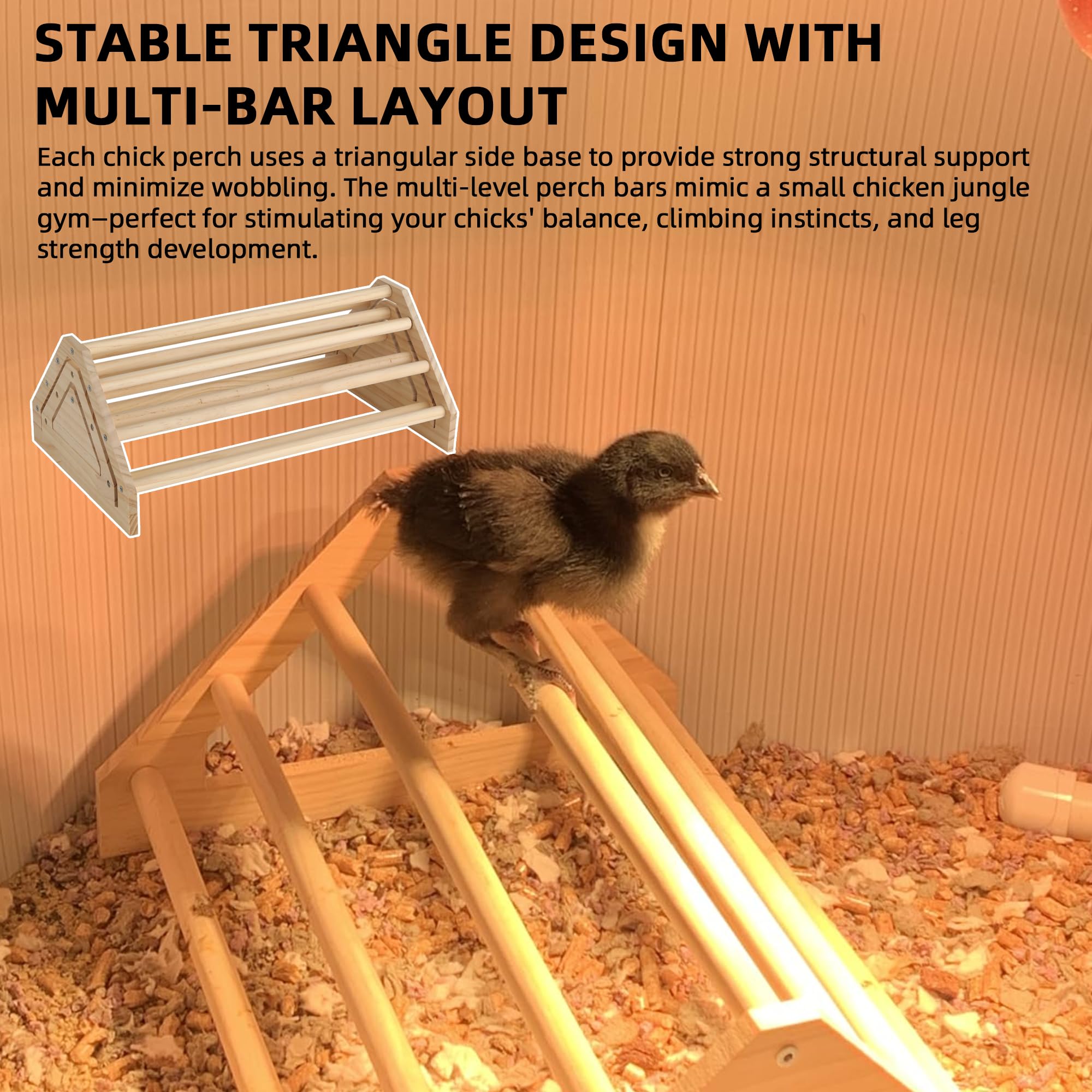 TonGass easy-assembly chicken toys showcase tool-free setup for brooders and coops.