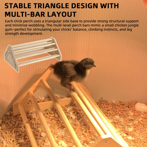 TonGass easy-assembly chicken toys showcase tool-free setup for brooders and coops.