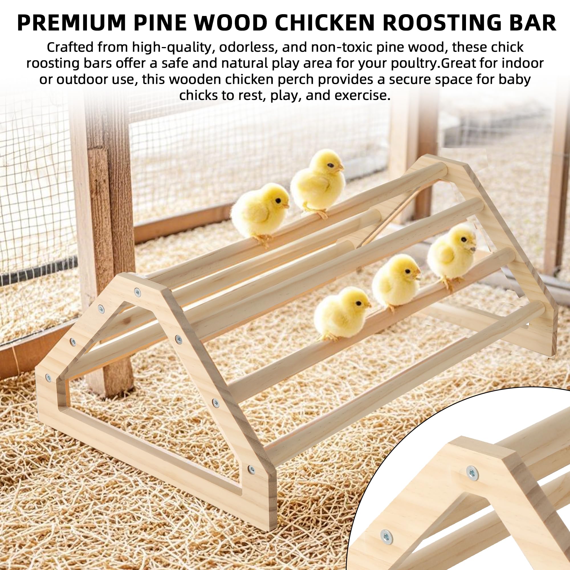 TonGass premium pine wood perch provides safe, natural resting for baby chicks.