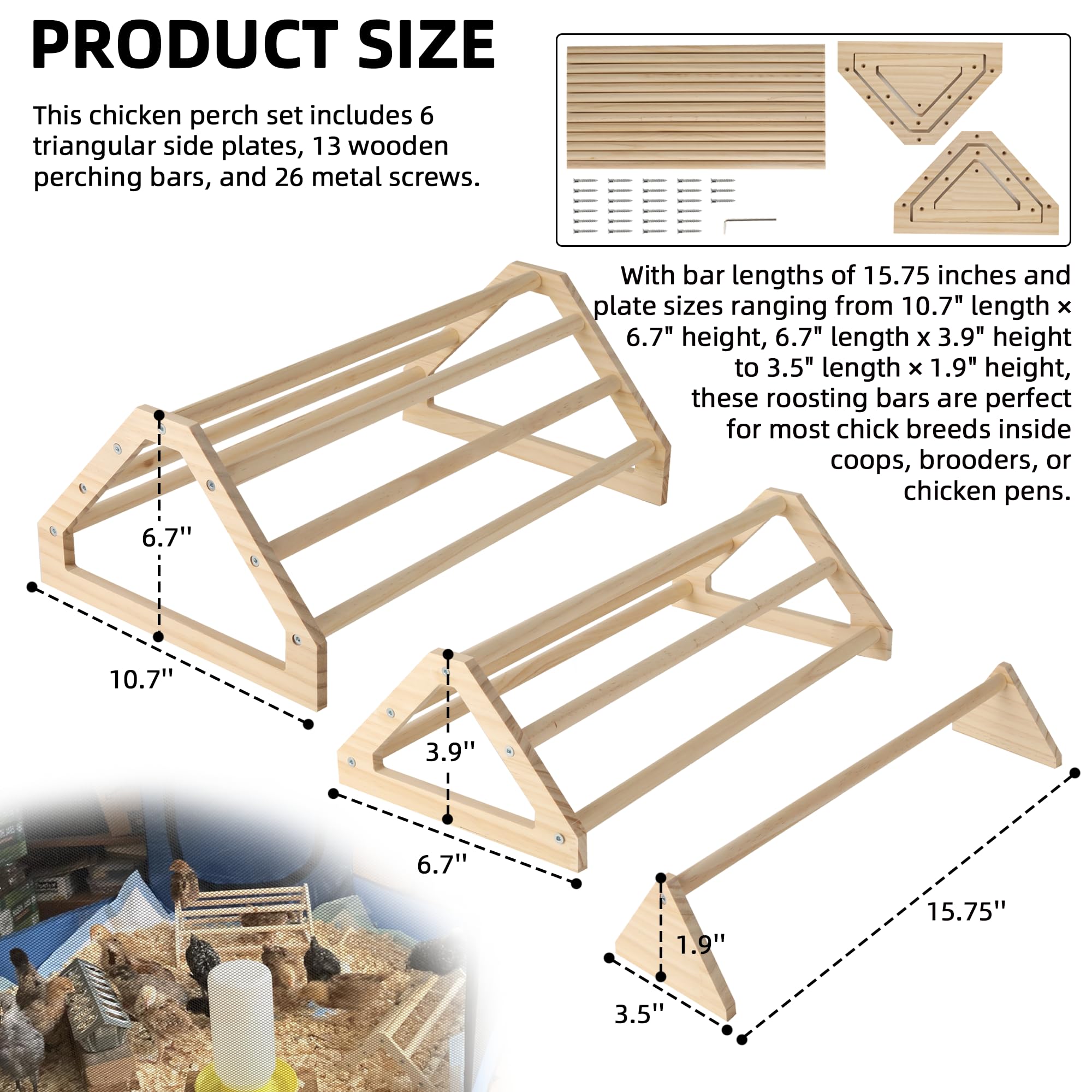 TonGass triangle-base chicken roost highlights stable design for confident chicks.