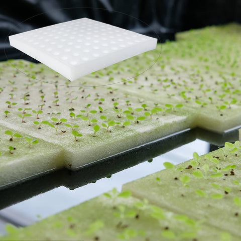 Tongnian sponge after-use cleaning and reuse in hydroponic cycles