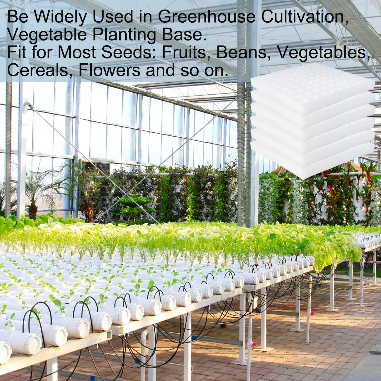 Tongnian sponge with easy clipping system for seedlings
