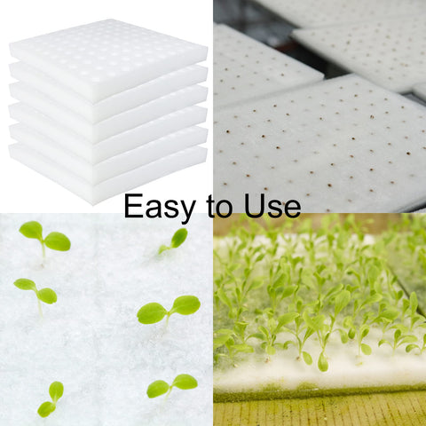 Tongnian soil-less design sponge cube enables breathable roots