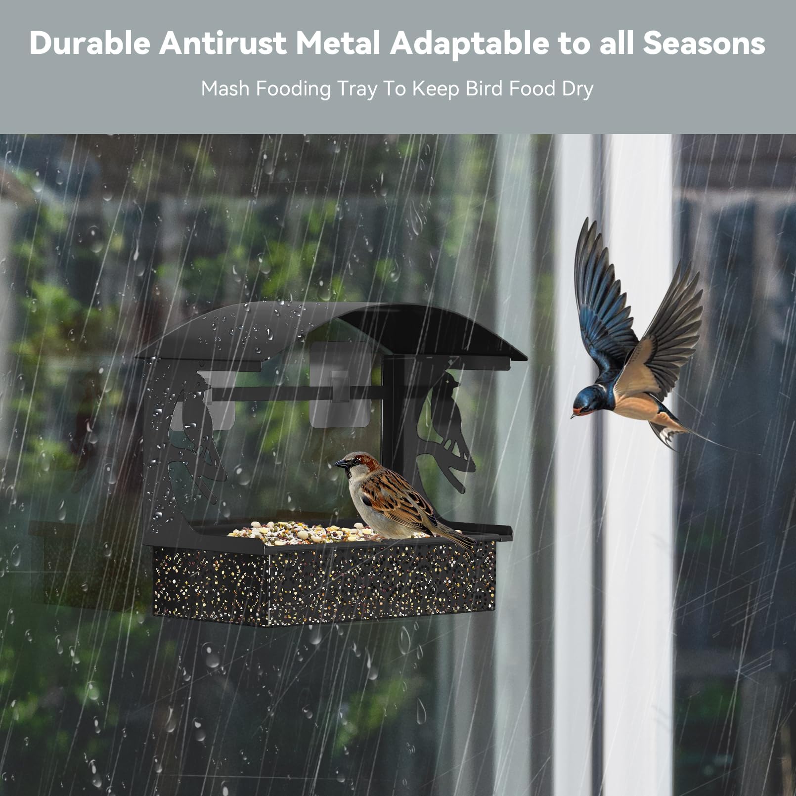 Tonitrui window feeder with large seed capacity stays dry thanks to fine mesh