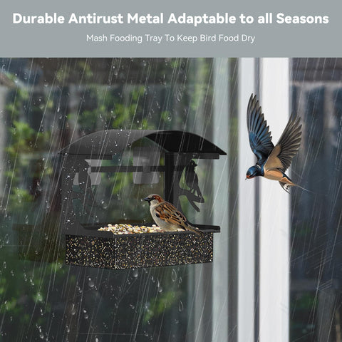 Tonitrui window feeder with large seed capacity stays dry thanks to fine mesh