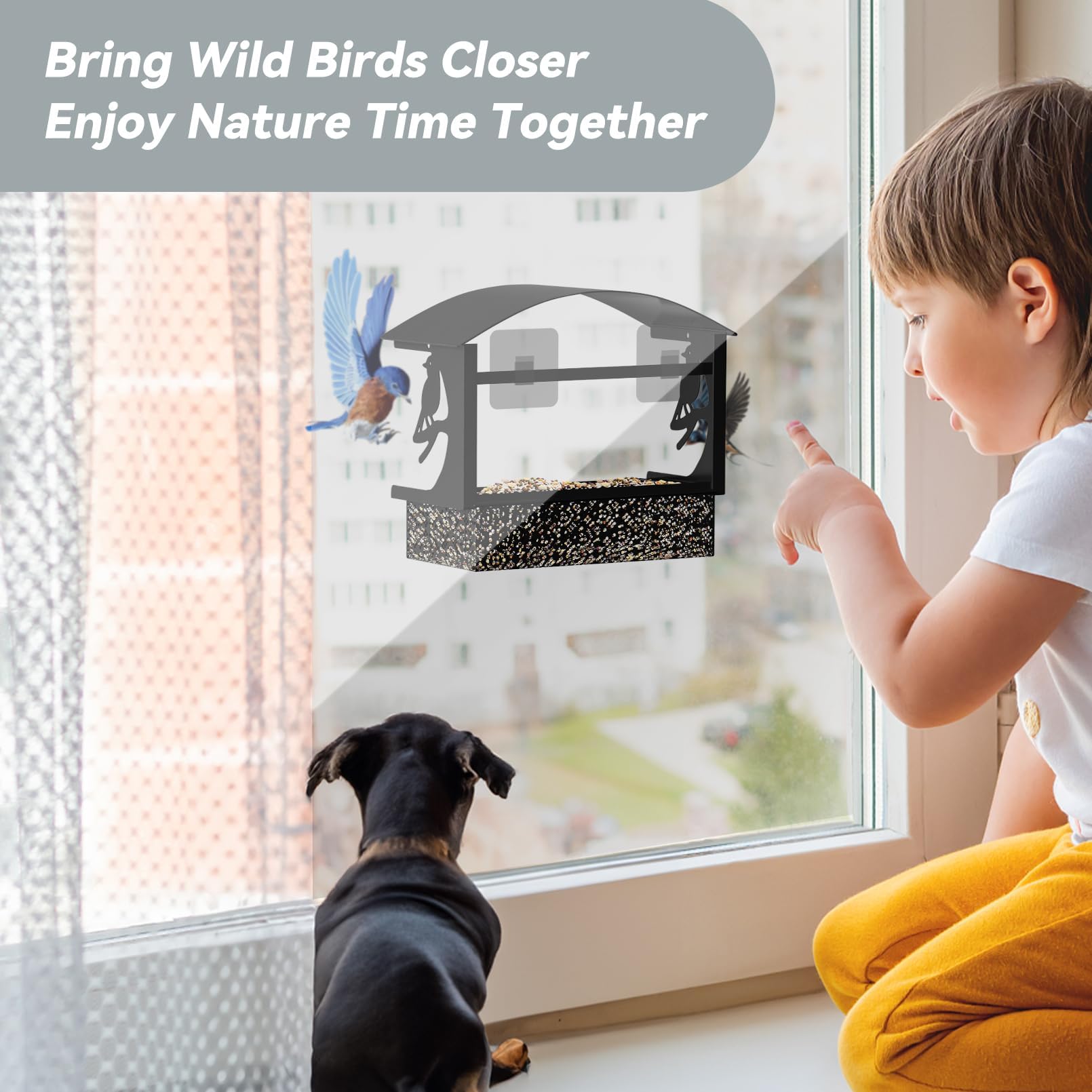 Tonitrui window feeder removable tray enables easy refills and quick cleanup