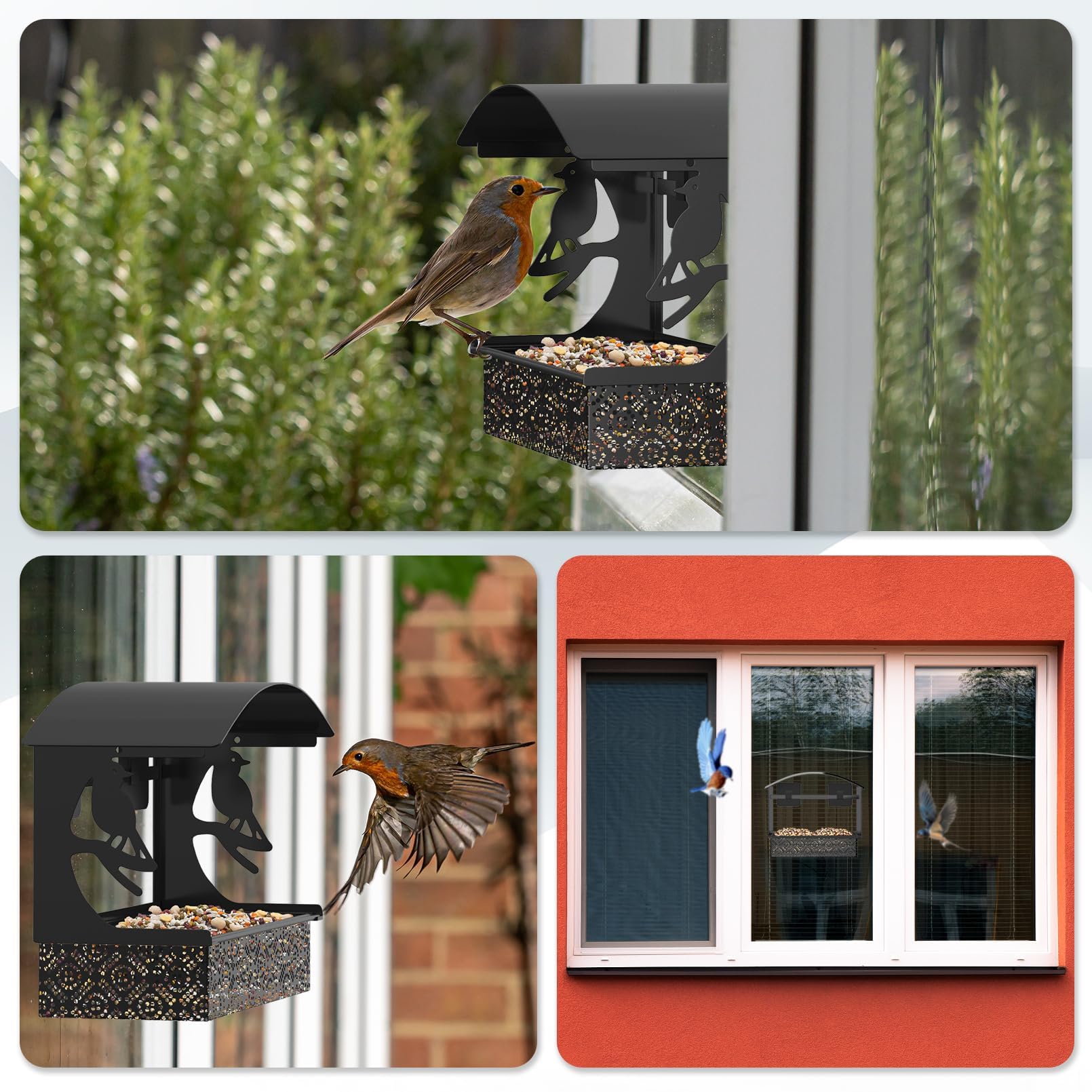 Tonitrui weatherproof mounting options support reliable outdoor installation
