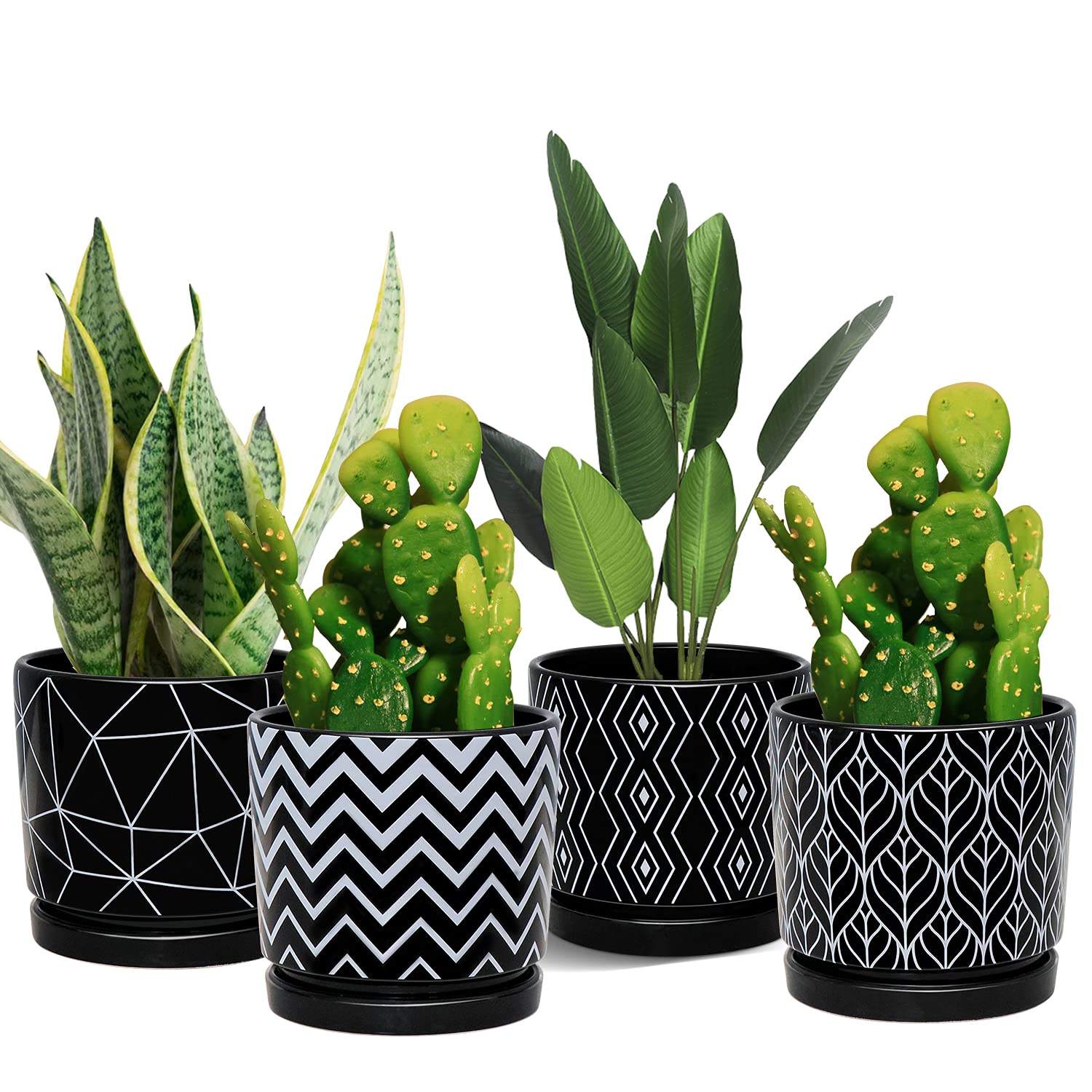 Ton Sin 5.5-inch black ceramic planter with drainage hole for succulents.