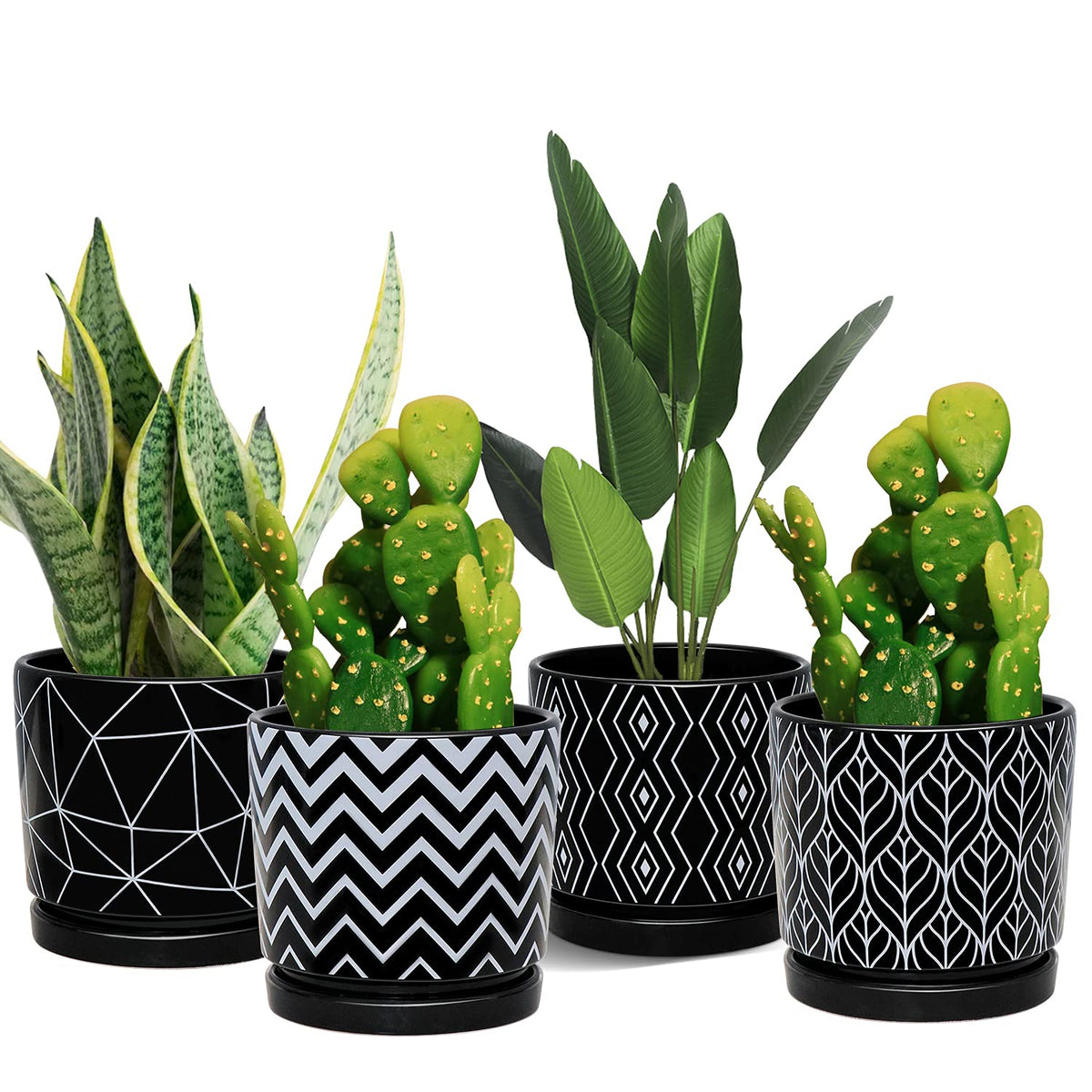 Ton Sin 5.5-inch black ceramic planter with drainage hole for succulents.