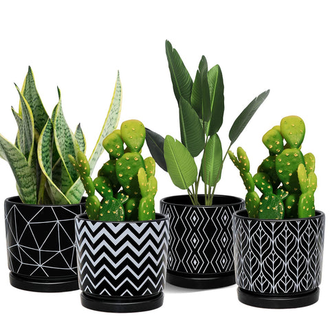 Ton Sin 5.5-inch black ceramic planter with drainage hole for succulents.