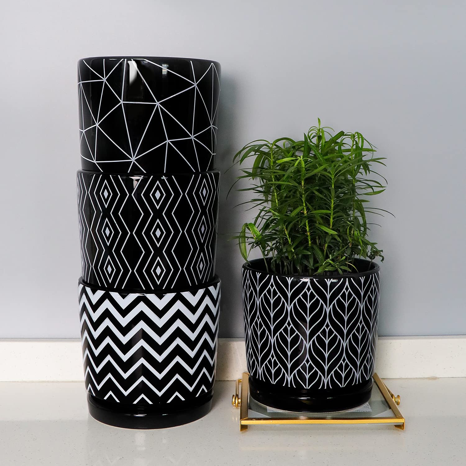 Ton Sin indoor cylinder planter with saucer, keeps surfaces clean.