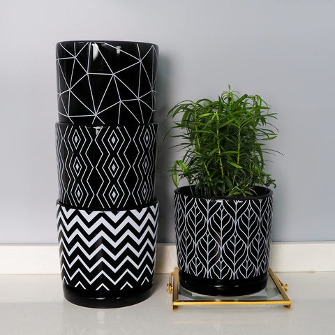 Ton Sin indoor cylinder planter with saucer, keeps surfaces clean.