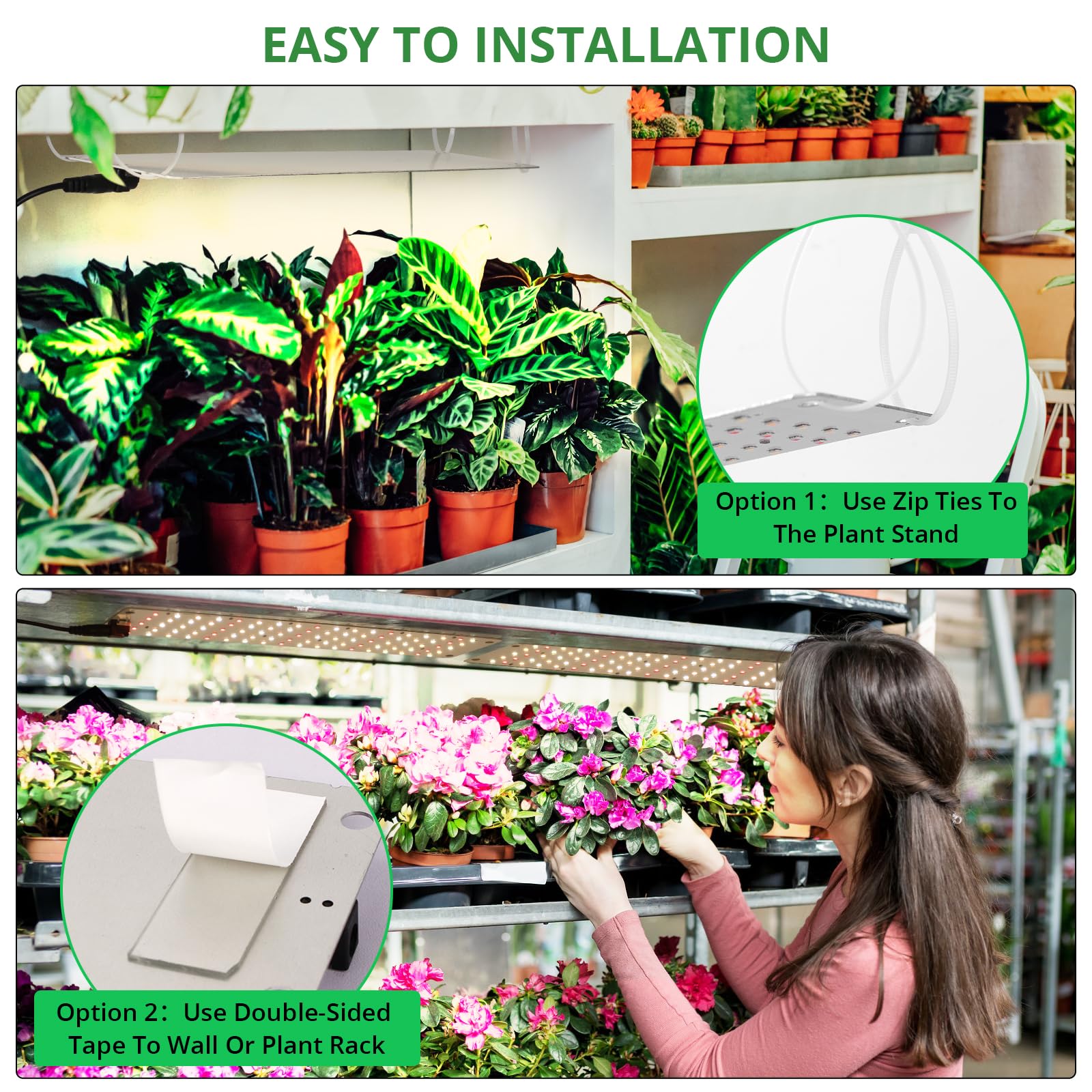 TONYFUL Grow Light timer ensures consistent daily lighting