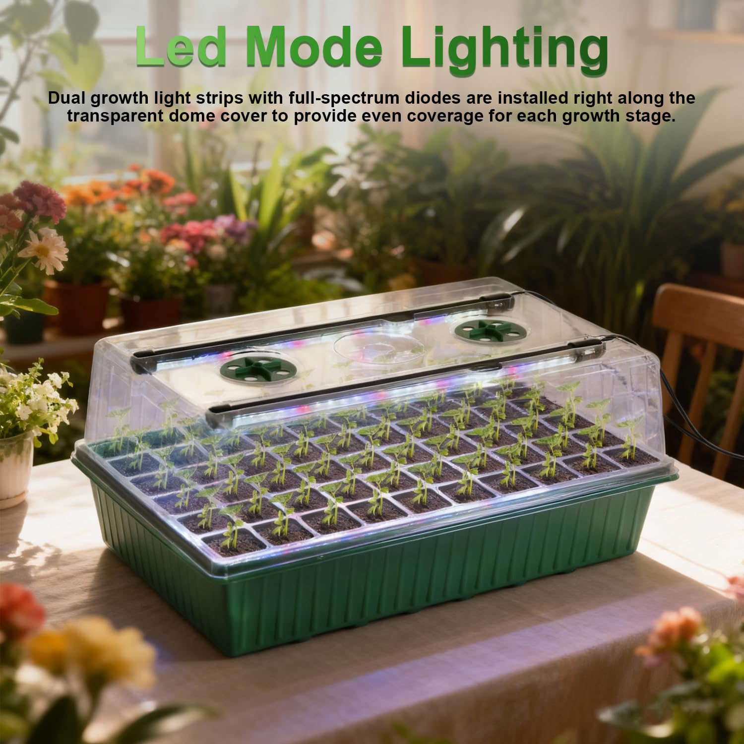 TONYFUL grow light and timer controller with customizable light schedules.