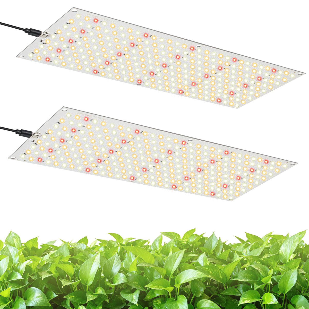 TONYFUL Grows Light 15-inch panel close-up showcases compact seed-start setup