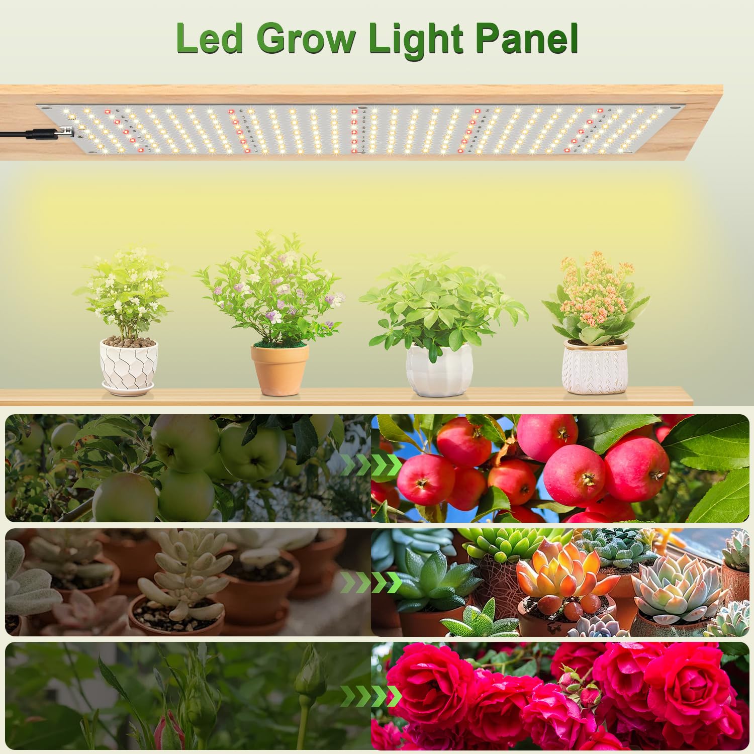 TONYFUL Grows Light two-pack packaging highlights value for multiple setups