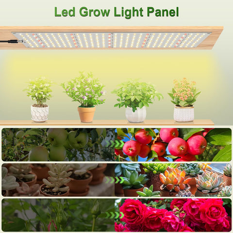 TONYFUL Grows Light two-pack packaging highlights value for multiple setups