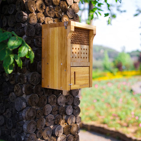 TOOBEETT garden pollinator habitat enhancing outdoor spaces.