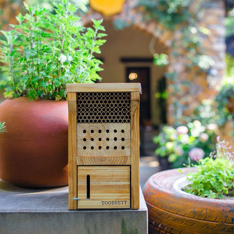 TOOBEETT bee house mounted with rope for versatile placement.