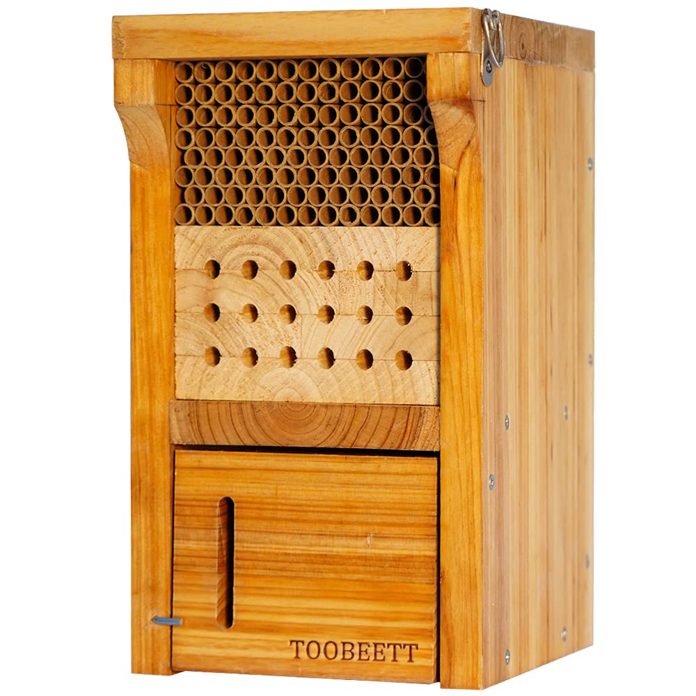 TOOBEETT mason bee house displayed outdoors, attracting pollinators.