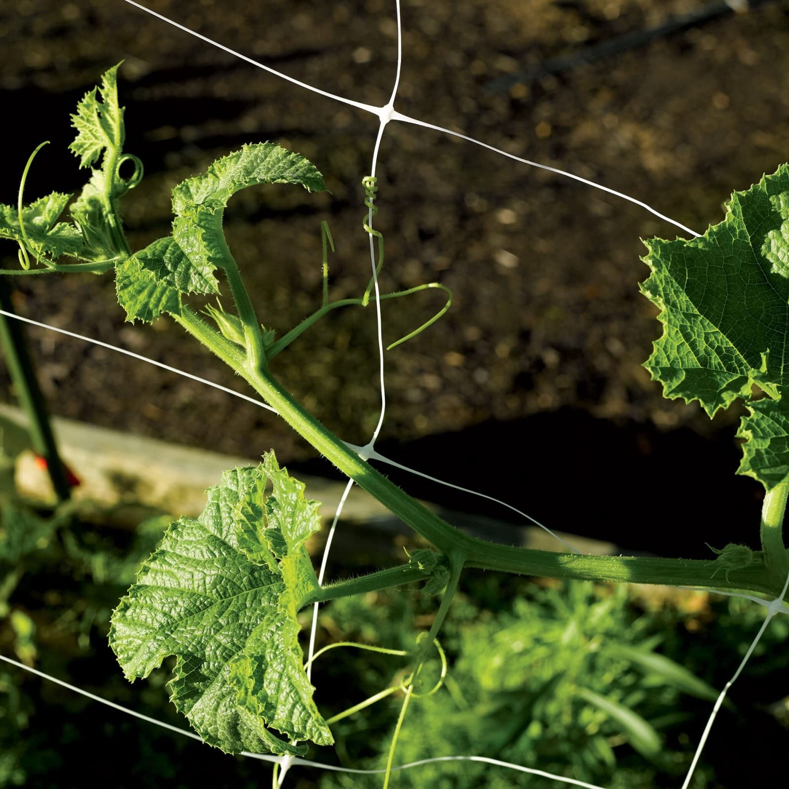 Toolazy plastic garden netting withstands aging and chemicals for long-term use.