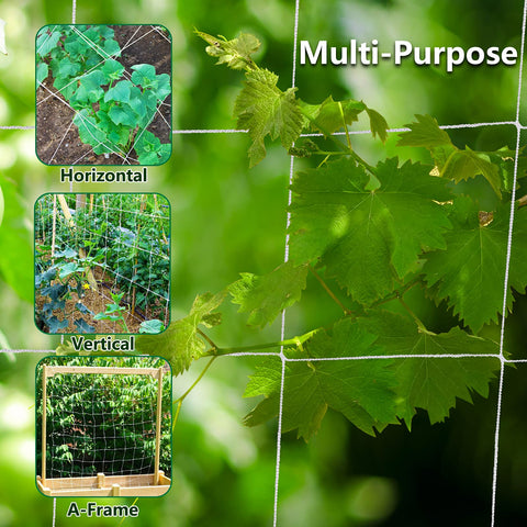 Toolazy Trellis Netting supporting cucumber vines for air flow and easy harvest.