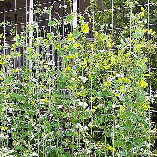 Toolazy Trellis Netting easy installation with reel and quick attachment options.