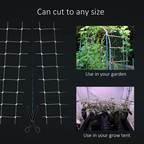 Toolazy Trellis Netting being installed to guide tomato plants into tidy rows.