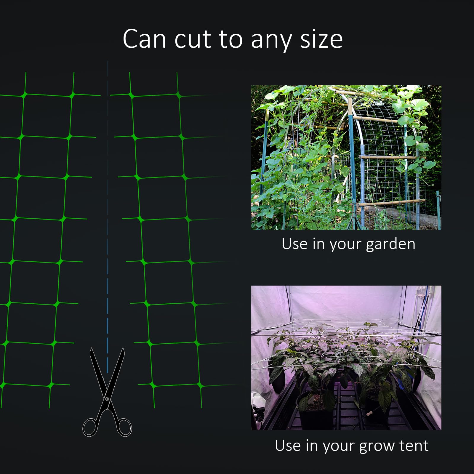 Toolazy Trellis Netting cut to size for vertical tomato trellis.